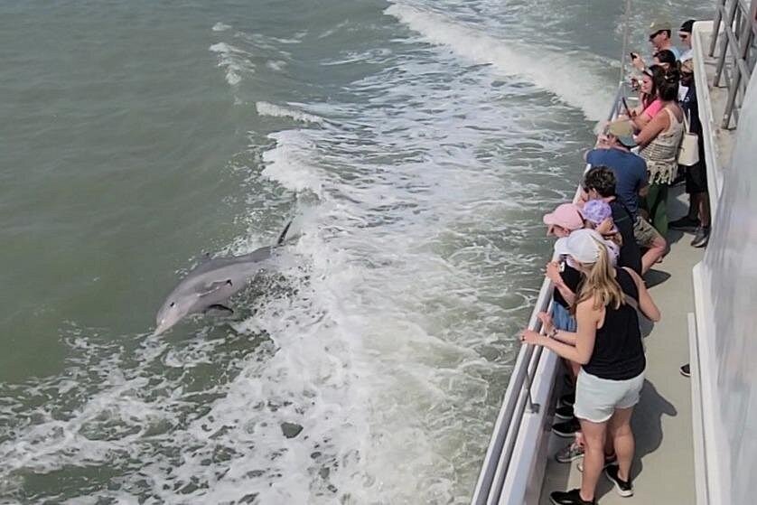 Sunset Dolphin Watch Tour